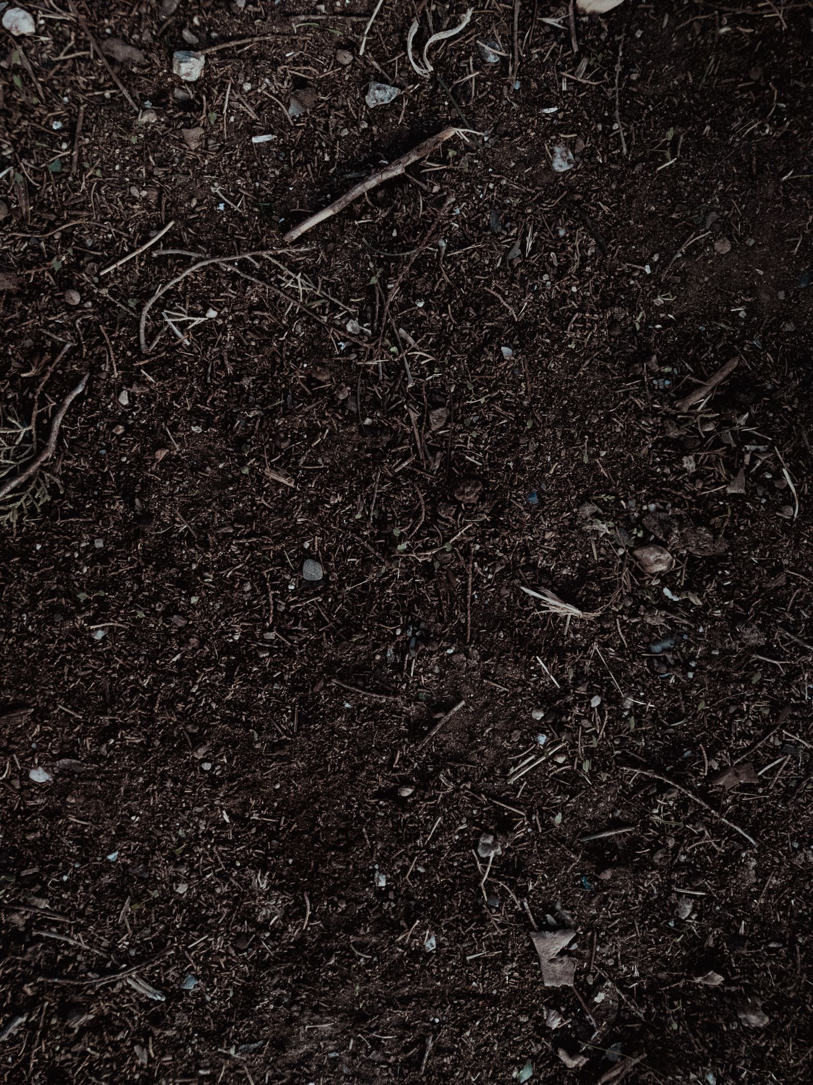 Rich dark organic vermicompost texture
