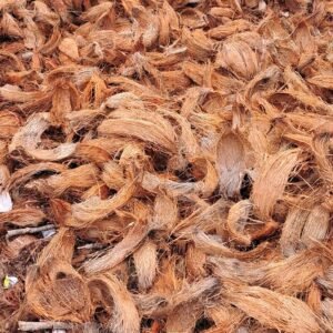 Coconut coir husk fibre for cocopeat