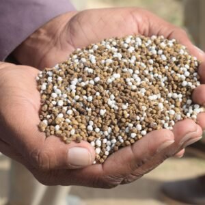 Organic bone meal fertiliser granules