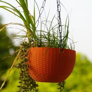 Hanging planter with trailing green foliage