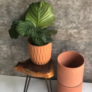 Modern ribbed planter with a potted plant