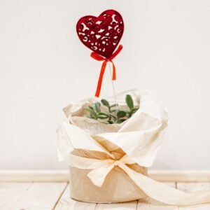 Gift Kits & Accessories