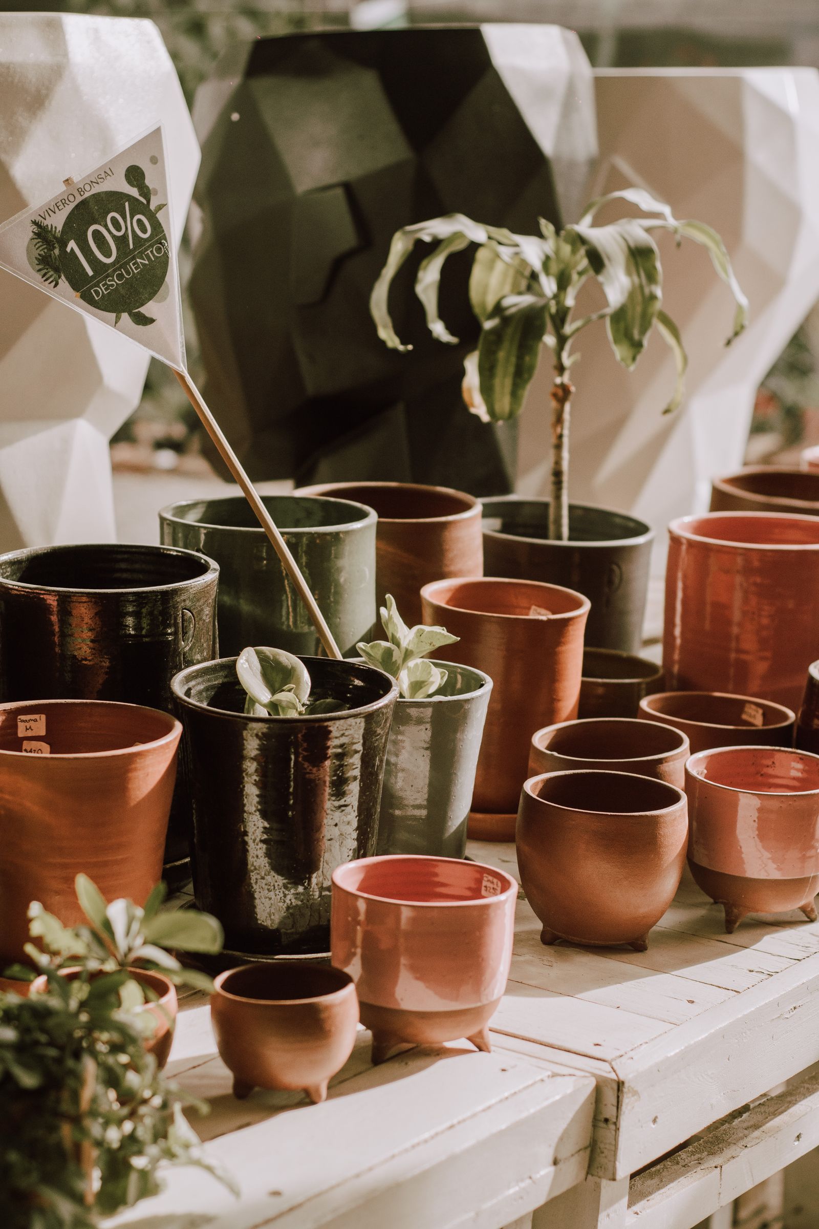 Glazed ceramic planters