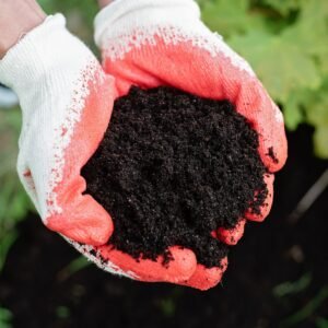 Organic Fertilisers & Soil