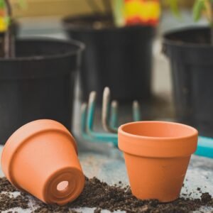 Handmade terracotta plant pots