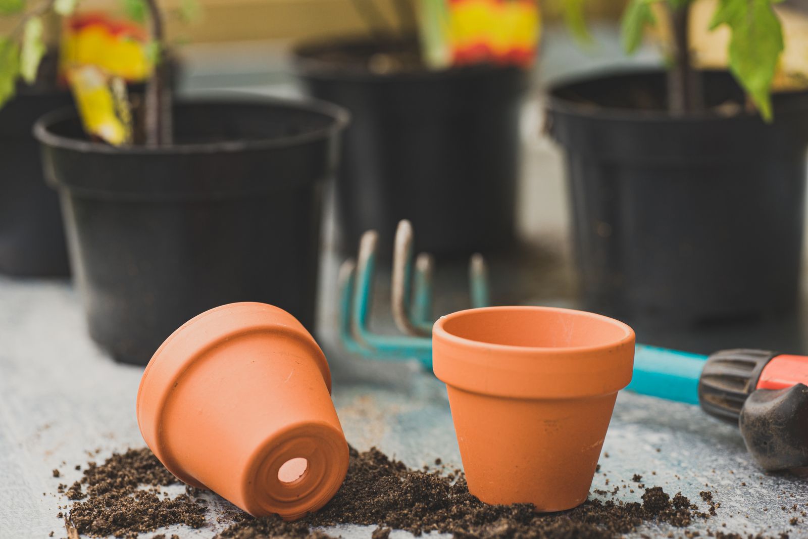 Handmade terracotta plant pots